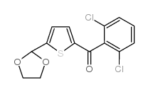 2-(2,6-DICHLOROBENZOYL)-5-(1,3-DIOXOLAN-2-YL)THIOPHENE picture