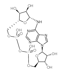 环状ADP核糖结构式