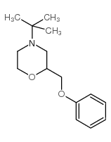 4-叔丁基-2-(苯氧甲基)-吗啉结构式