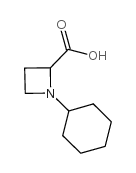 2-Azetidinecarboxylicacid, 1-cyclohexyl- structure