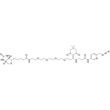 2055048-42-3 structure