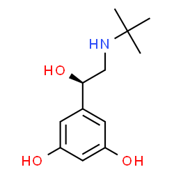 l-Terbutaline Structure