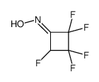 N-(2,2,3,3,4-pentafluorocyclobutylidene)hydroxylamine Structure