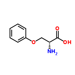 59123-23-8 structure