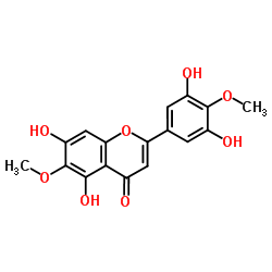 125537-92-0 structure