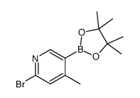 6-Bromo-4-methylpyridine-3-boronic acid pinacol ester picture