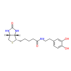 241142-94-9 structure