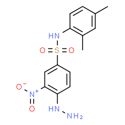 Benzenesulfonamide, N-(2,4-dimethylphenyl)-4-hydrazinyl-3-nitro-结构式