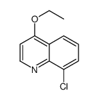 8-Chloro-4-ethoxyquinoline picture