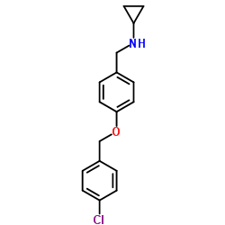 880810-57-1 structure