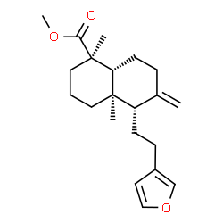 (+)-Polyalthic acid methyl ester Structure