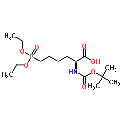 6-(Diethoxyphosphoryl)-N-{[(2-methyl-2-propanyl)oxy]carbonyl}-L-norleucine Structure