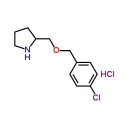 1261232-79-4 structure