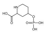 4-phosphonooxypiperidine-2-carboxylic acid Structure