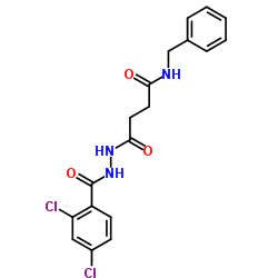 N-Benzyl-4-[2-(2,4-dichlorobenzoyl)hydrazino]-4-oxobutanamide Structure