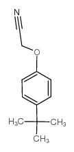 2-(4-tert-butylphenoxy)acetonitrile picture