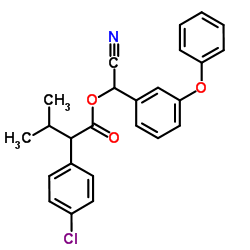 51630-58-1 structure