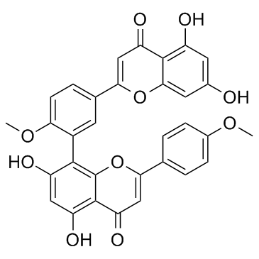 ISOGINKGETIN picture