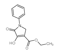 2,5-二氢-4-羟基-5-氧代-1-苯基-1H-吡咯-3-羧酸乙酯图片