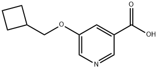 5-(Cyclobutylmethoxy)pyridine-3-carboxylic acid Structure