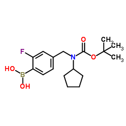 (4-(((叔-丁氧基羰基)(环戊基)氨基)甲基)-2-氟苯基)硼酸结构式