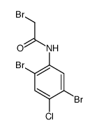 19889-54-4 structure