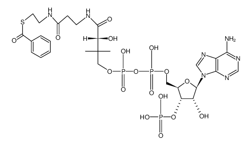 benzoyl-CoA Structure