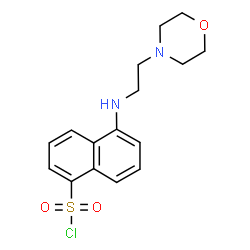 5-(2-MORPHOLIN-4-YL-ETHYLAMINO)-NAPHTHALENE-1-SULFONYL CHLORIDE结构式