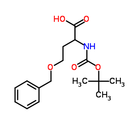 BOC-(RS)-2-AMINO-4-BENZYLOXYBUTANOIC ACID Structure