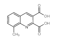 8-METHYL-QUINOLINE-2,3-DICARBOXYLIC ACID Structure