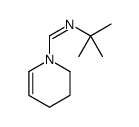 N-tert-butyl-1-(3,4-dihydro-2H-pyridin-1-yl)methanimine结构式