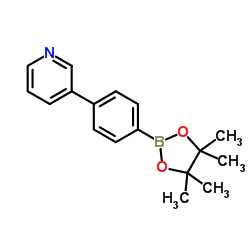 4-(3-吡啶基)苯硼酸频哪醇酯图片