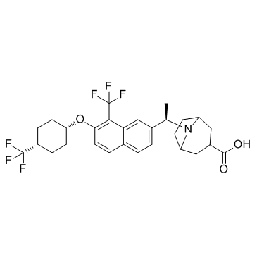 自分泌运动因子调节剂1图片