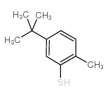 4-叔丁基-2-甲基噻酚结构式