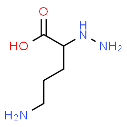 alpha-hydrazinoornithine结构式