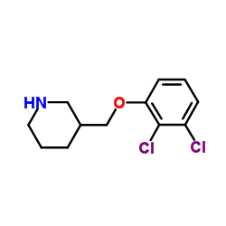 3-[(2,3-Dichlorophenoxy)methyl]piperidine Structure