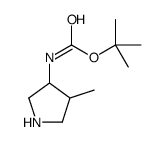 3-N-BOC-AMINO-4-METHYL-PYRROLIDINE picture