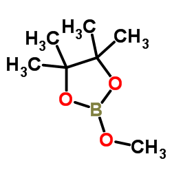 2-Methoxy-4,4,5,5-tetramethyl-1,3,2-dioxaborolane Structure