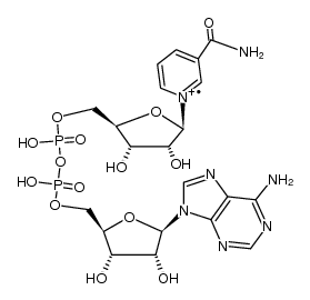 nadh Structure