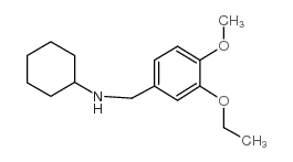 N-[(3-ethoxy-4-methoxyphenyl)methyl]cyclohexanamine picture