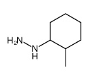 2-甲基环己基肼图片