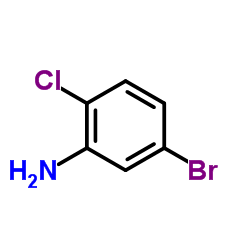 ZR BG EE Structure