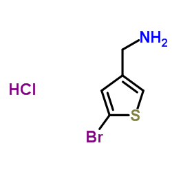 1-(5-Bromo-3-thienyl)methanamine hydrochloride (1:1) picture