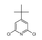 4-(叔丁基)-2,6-二氯吡啶图片