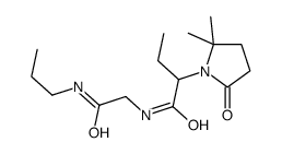 2-(2,2-dimethyl-5-oxopyrrolidin-1-yl)-N-[2-oxo-2-(propylamino)ethyl]butanamide结构式