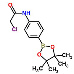 2-chloro-N-(4-(4,4,5,5-tetramethyl-1,3,2-dioxaborolan-2-yl)phenyl)acetamide picture