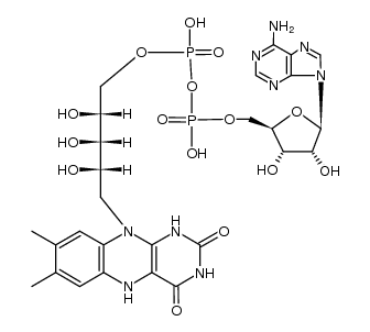 FADH2 Structure