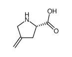 4-methyleneproline结构式