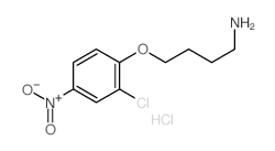 1-Butanamine,4-(2-chloro-4-nitrophenoxy)-, hydrochloride (1:1) picture