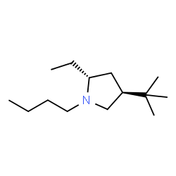 Pyrrolidine, 1-butyl-4-(1,1-dimethylethyl)-2-ethyl-, (2R,4S)-rel- (9CI)结构式